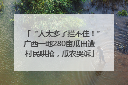 “人太多了拦不住！”广西一地280亩瓜田遭村民哄抢，瓜农哭诉